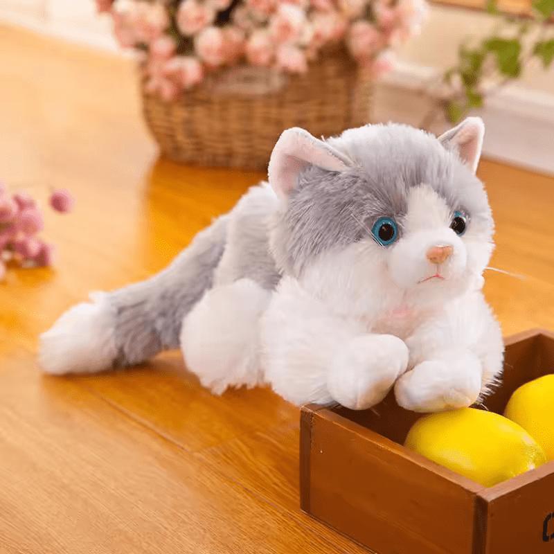 Stuffed Cat - Stuffed Plush Toys