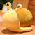 Snail Plush - Stuffed Plush Toys