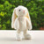 Stuffies Bunny - Stuffed Plush Toys