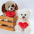 Teddy Bear l Love You - Stuffed Plush Toys