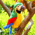 Parrot Stuffed Animal - Stuffed Plush Toys