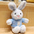 Cute Bunny Plush Toy - Stuffed Plush Toys