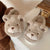 Bear Slippers - Stuffed Plush Toys