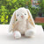 Stuffies Bunny - Stuffed Plush Toys