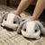 Cute Rabbit Slippers - Stuffed Plush Toys