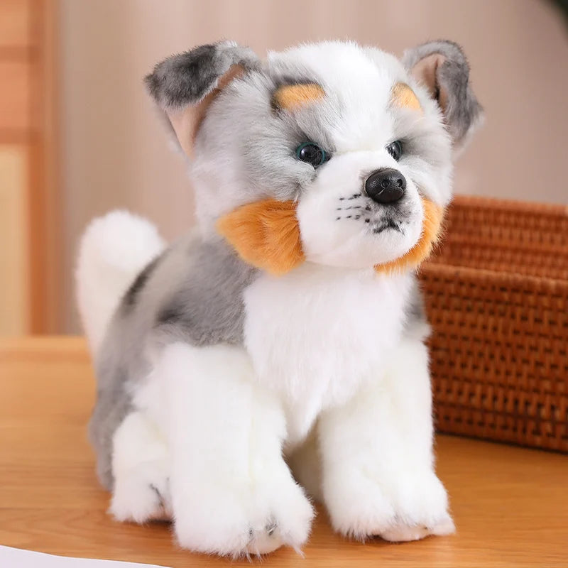 Australian Shepherd Plush Toy - Stuffed Plush Toys