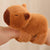 Capybara plush - Stuffed plush toys