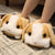 Cute Rabbit Slippers - Stuffed Plush Toys