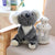 Koala Plush - Stuffed Plush Toys