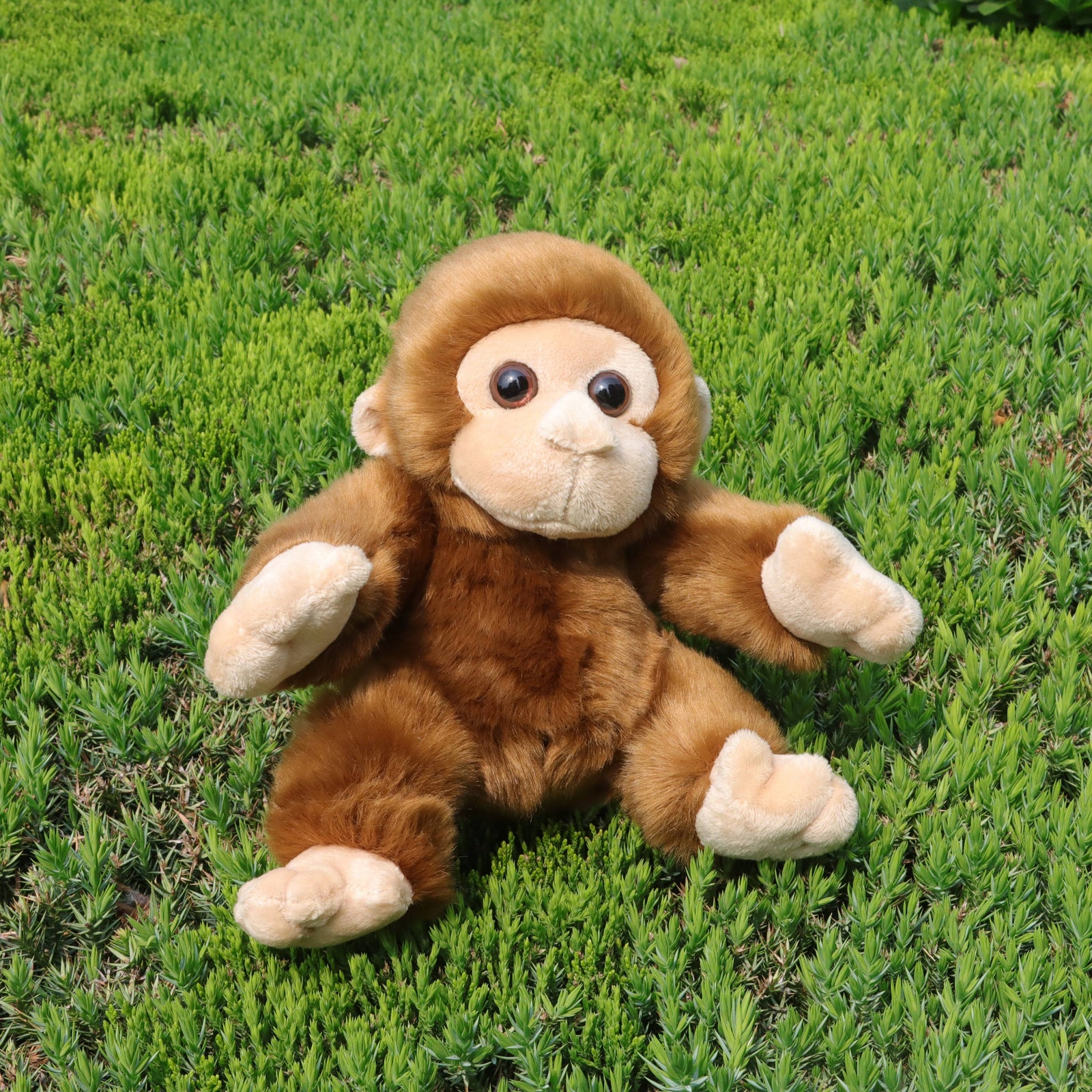 Monkey Plush Toy - Stuffed Plush Toys