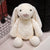 Stuffed Bunny - Stuffed Plush Toys