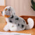 Australian Shepherd Plush Toy - Stuffed Plush Toys