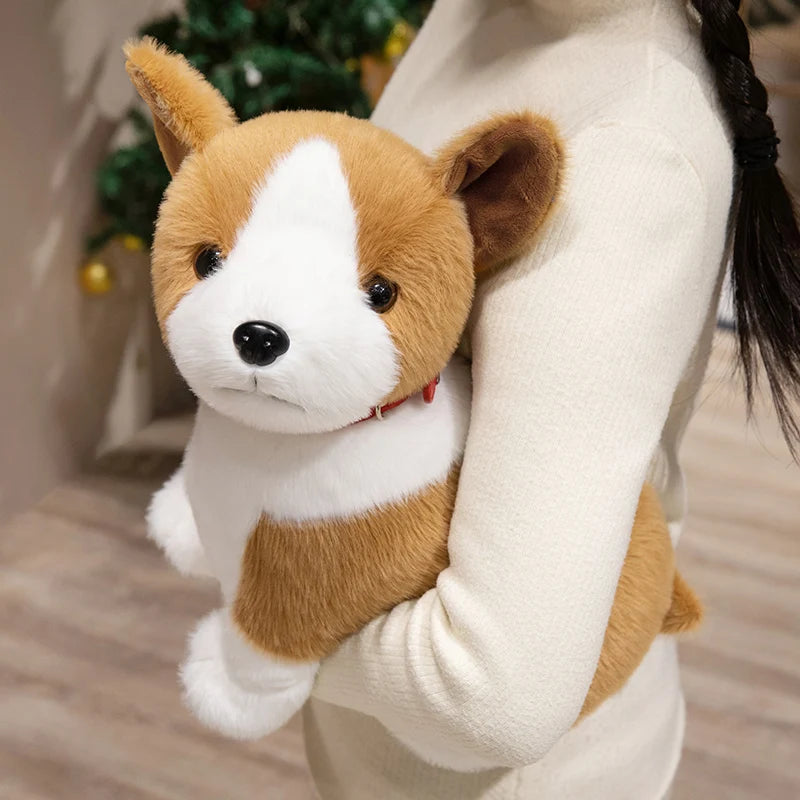 Corgi Plush Toy - Stuffed Plush Toys