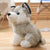 Husky Plush Animal - Stuffed Plush Toys