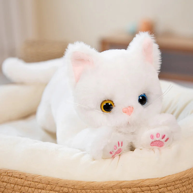 Cat Stuffy - Stuffed Plush Toys