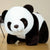 Panda Plush - Stuffed Plush Toys