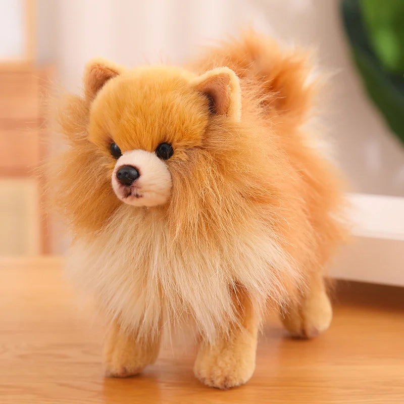 Stuffed Pomeranian