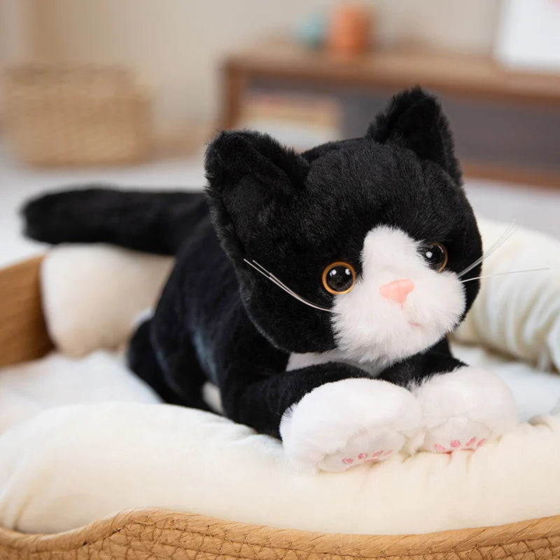 Cat Stuffy - Stuffed Plush Toys 