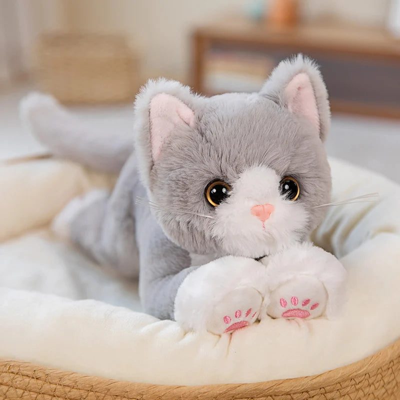 Cat Stuffy - Stuffed Plush Toys 