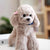 Stuffed Poodle - Stuffed Plush Toys