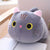 Cat Plush - Stuffed Plush Toys