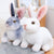 Realistic Rabbit Plush - Stuffed Plush Toys