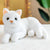 Cat Plush Toy - Stuffed Plush Toys