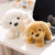 Golden Retriever Stuffed Animal - Stuffed Plush Toys