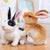 Realistic Rabbit Plush - Stuffed Plush Toys