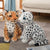 Leopard Stuffed Animal - Stuffed Plush Toys