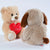 Teddy Bear l Love You - Stuffed Plush Toys