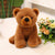 Stuffed Pooh Bear - Stuffed Plush Toys